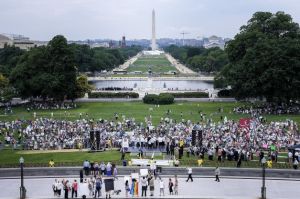 NOM's 2014 March for Marriage